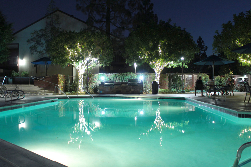 Take a tour today and view Amenities 13 for yourself at the Rose Pointe Apartments